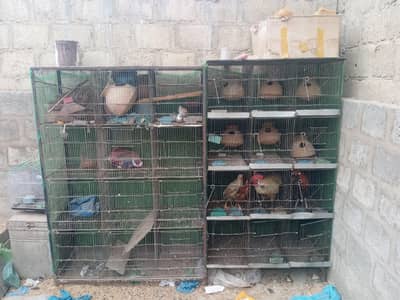 2 iron cages for sell