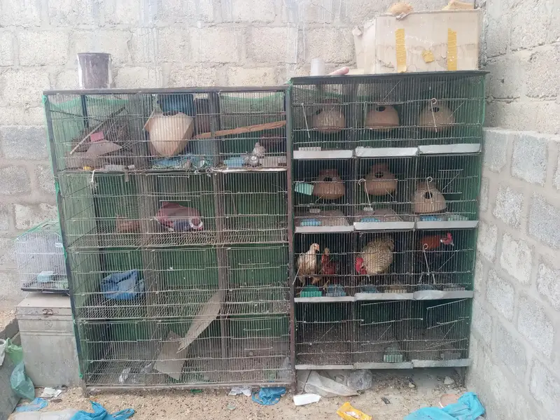 2 iron cages for sell — photo 3