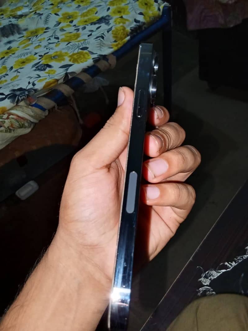 Apple iPhone 13 Pro Max 0