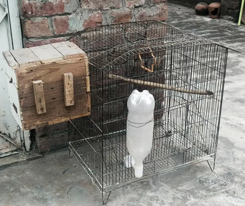 Bird Cage for sale — photo 2
