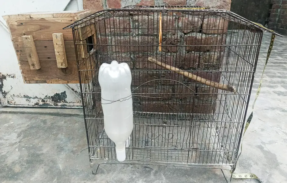 Bird Cage for sale — photo 7