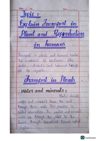 AIOU assignments handwritten+ typed| All codes available