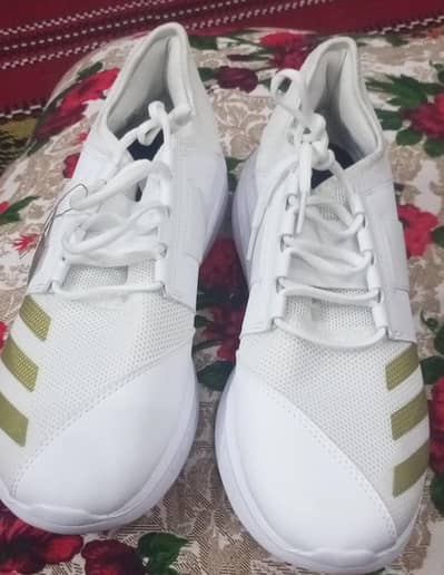 Brand new Adidas spikes not a singal day used