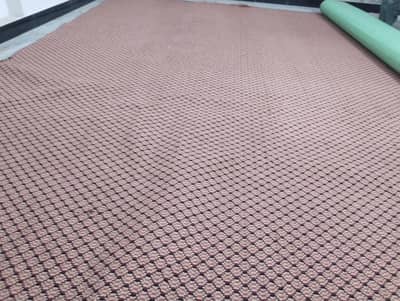 carpet