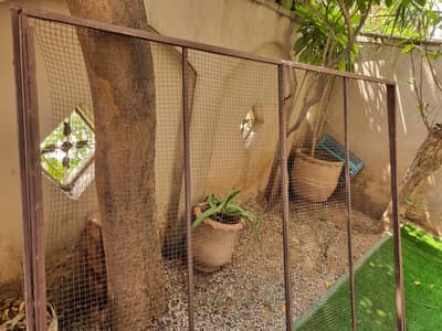 Iron Mesh Gate | Excellent Condition | 5'6" × 4'8"
