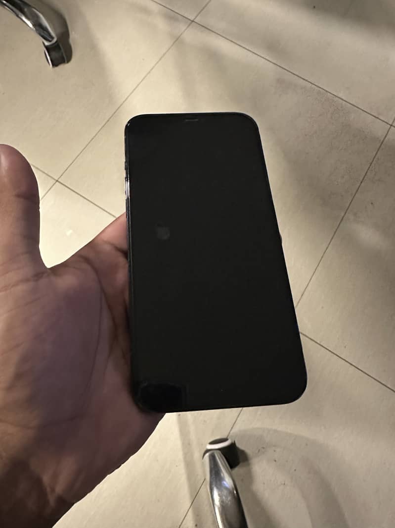 Apple iPhone 12 Pro Max 1