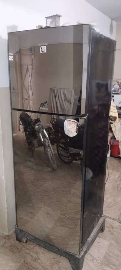 singer glass door