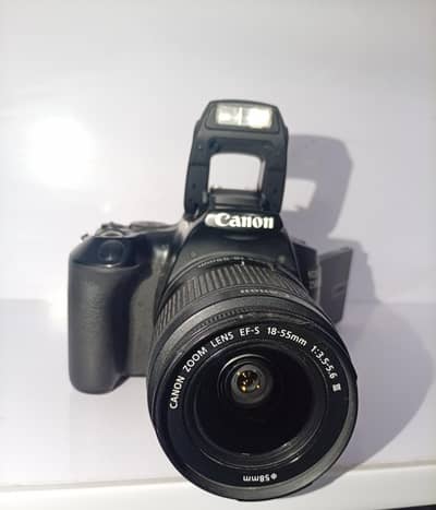 CANON 250D