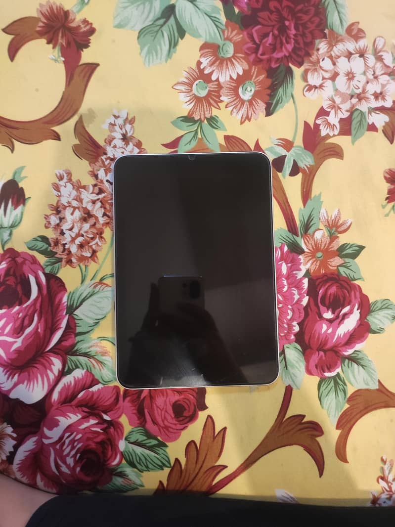 ipad mini 6 0
