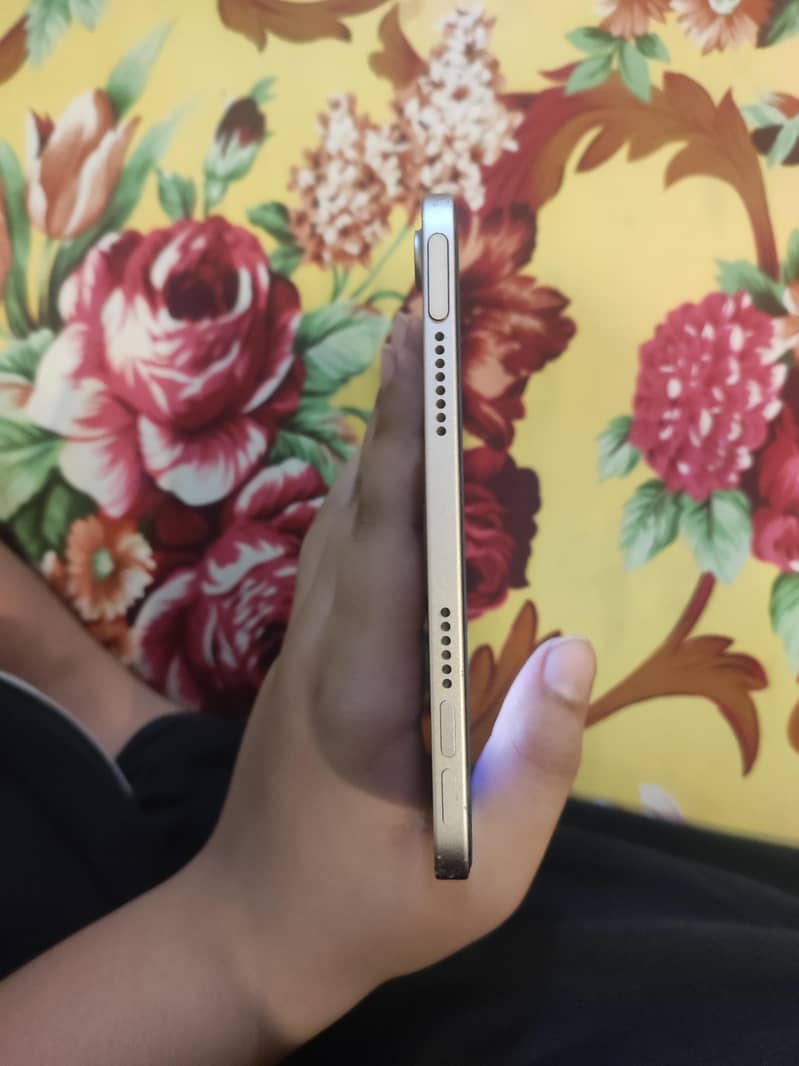 ipad mini 6 4
