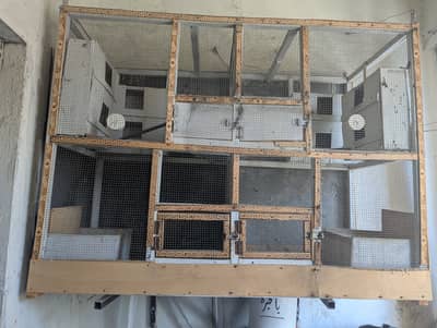 Wooden Bird Cage 4x3x1.5 ft | Double Compartment | Ideal for Breeding