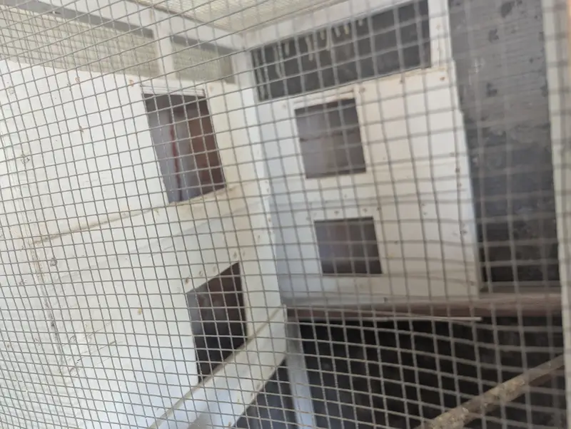 Wooden Bird Cage 4x3x1.5 ft | Double Compartment | Ideal for Breeding — photo 2