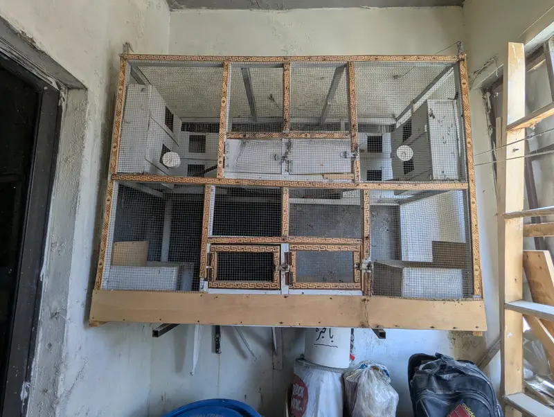 Wooden Bird Cage 4x3x1.5 ft | Double Compartment | Ideal for Breeding — photo 6