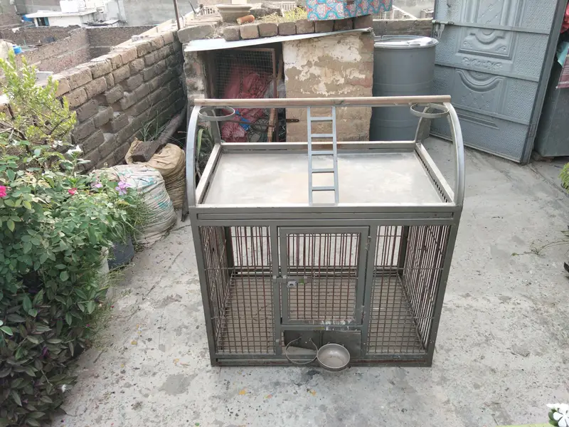 Green & Raw Parrot Heavy Cage 3×3×2 Feet Double Trey 40 Kg — photo 2