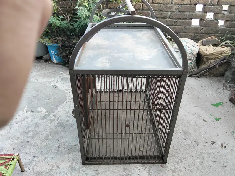 Green & Raw Parrot Heavy Cage 3×3×2 Feet Double Trey 40 Kg — photo 4