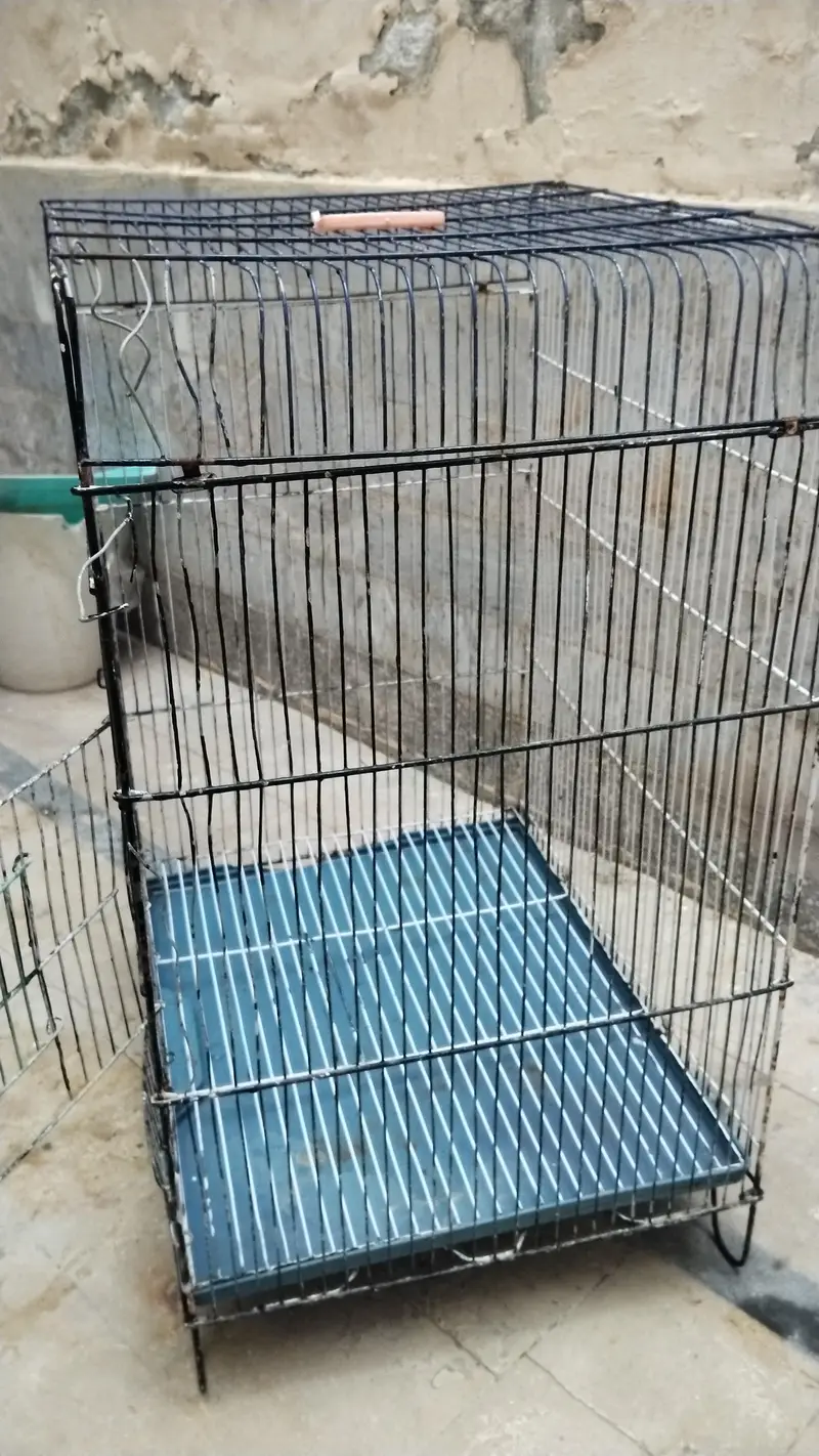 cage for sale bilkul Sahi he bas Thora SA damaged he — photo 3