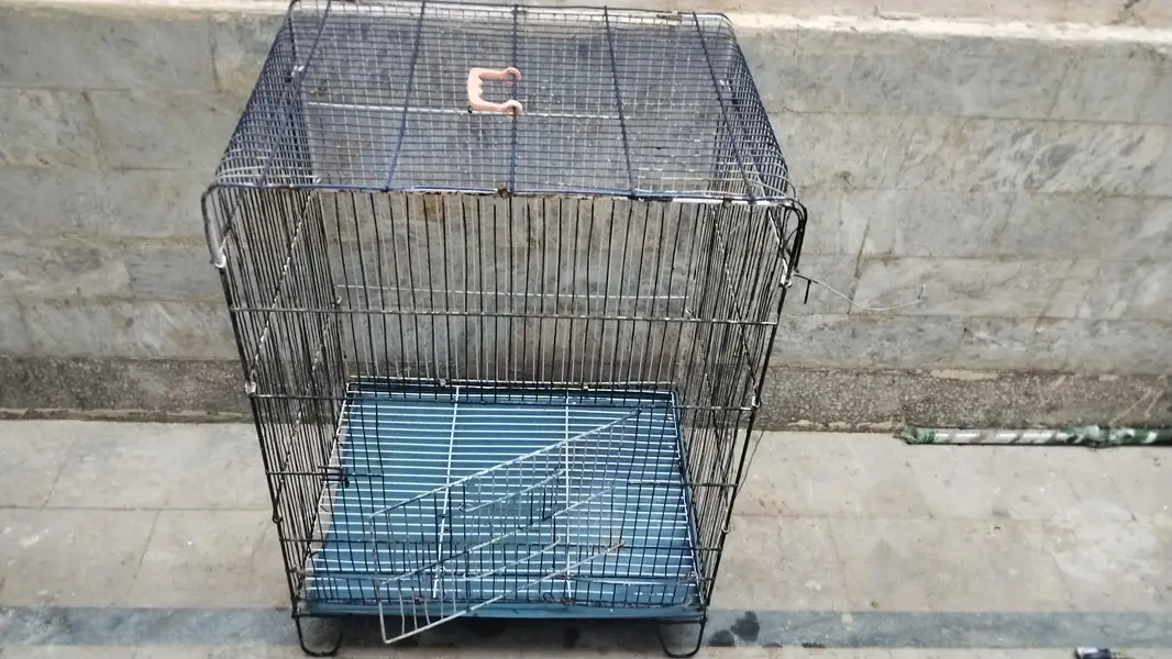 cage for sale bilkul Sahi he bas Thora SA damaged he — photo 5
