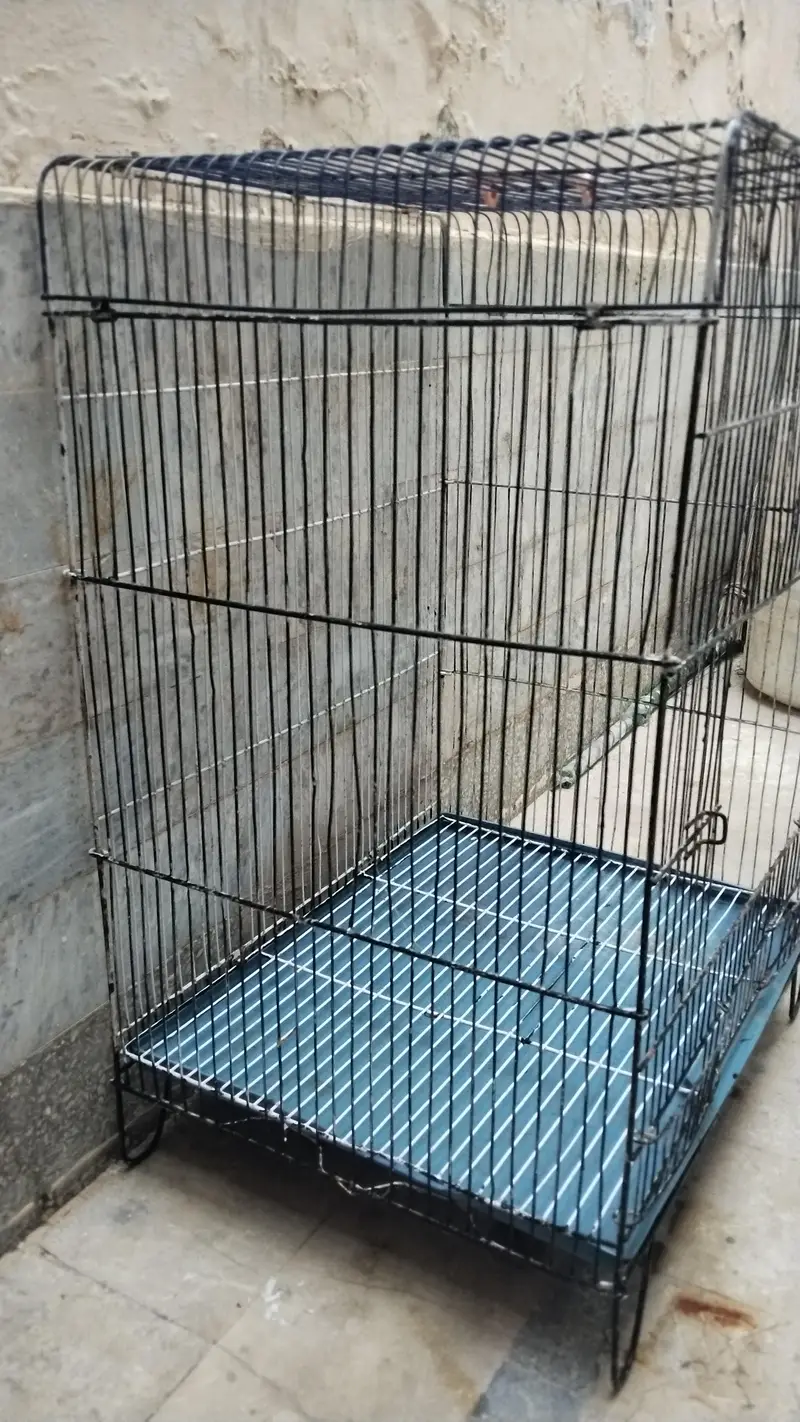 cage for sale bilkul Sahi he bas Thora SA damaged he — photo 6
