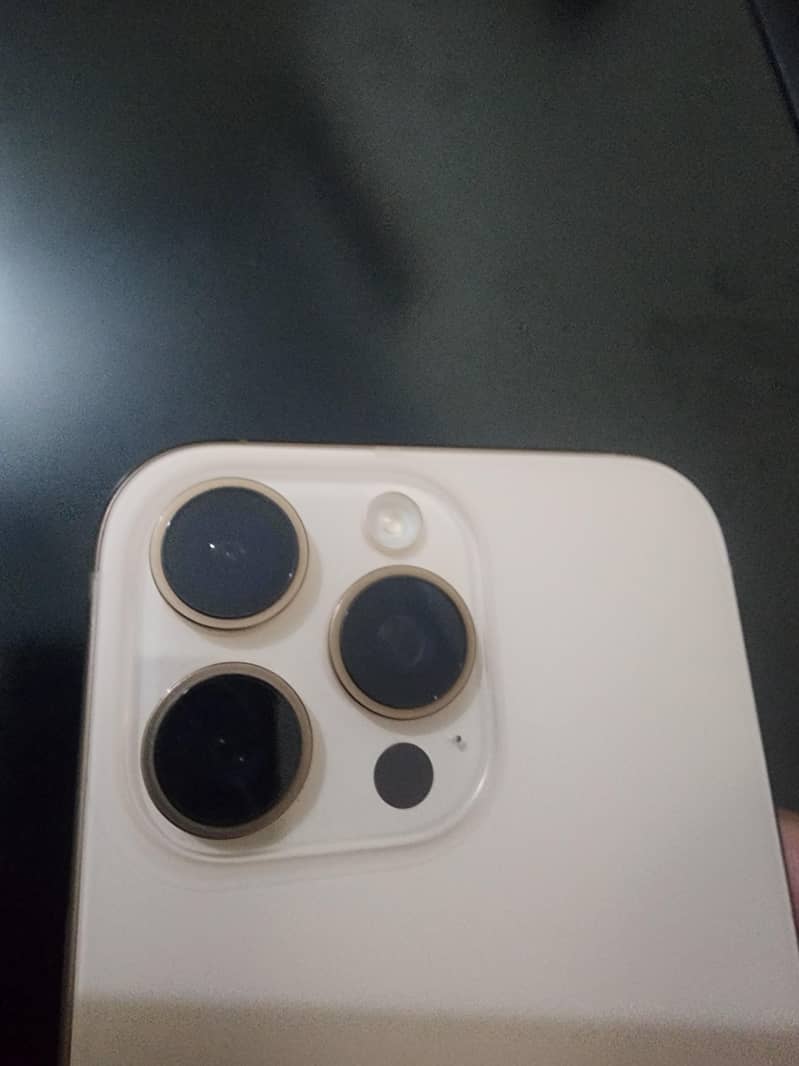 Apple iPhone 16 Pro Max 1