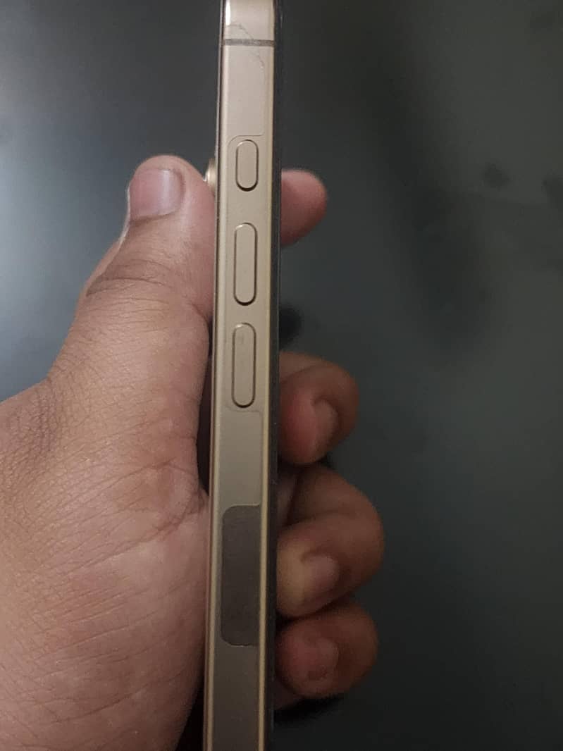 Apple iPhone 16 Pro Max 3