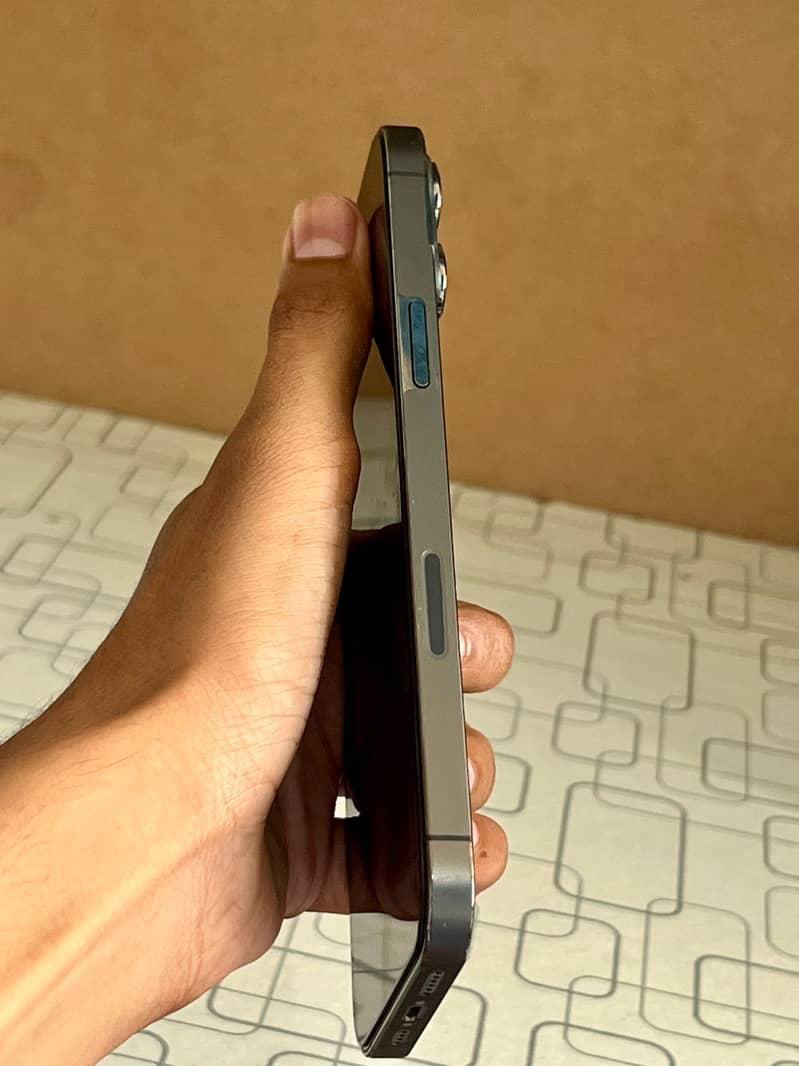 Apple iPhone 13 Pro Max 1