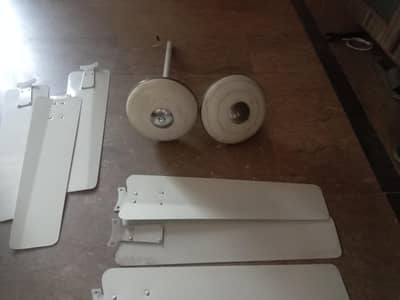 Two normal ceiling fans from Royal fans are available in Lahore