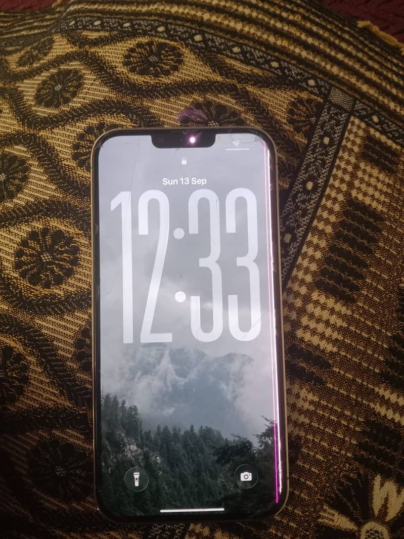 Apple iPhone 13 Pro Max 1