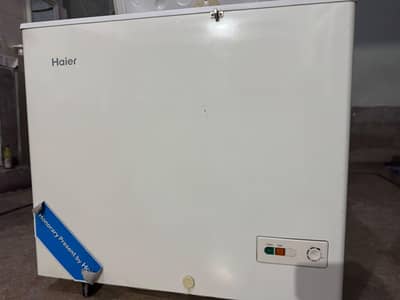 Haier D freezer