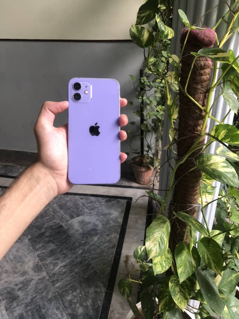 Apple iPhone 12 0