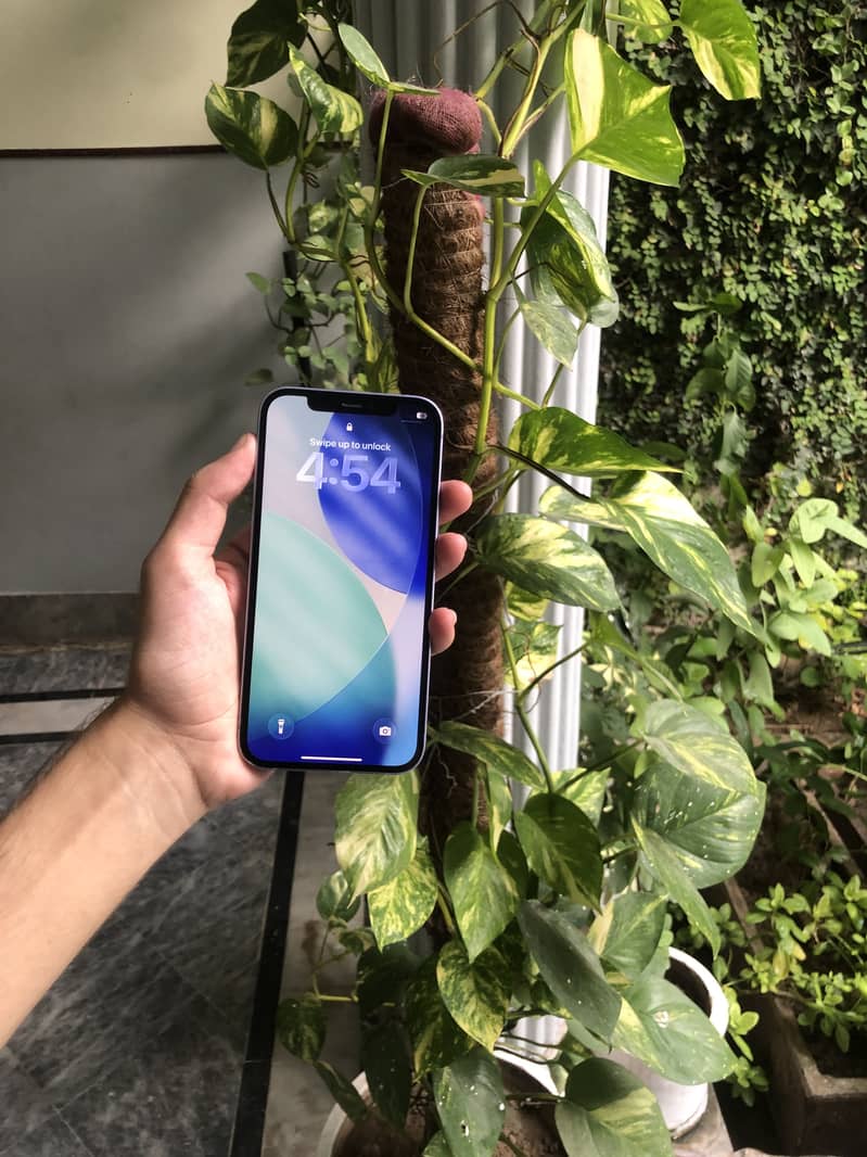 Apple iPhone 12 1