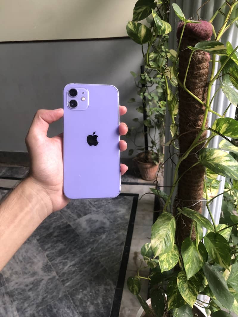 Apple iPhone 12 3