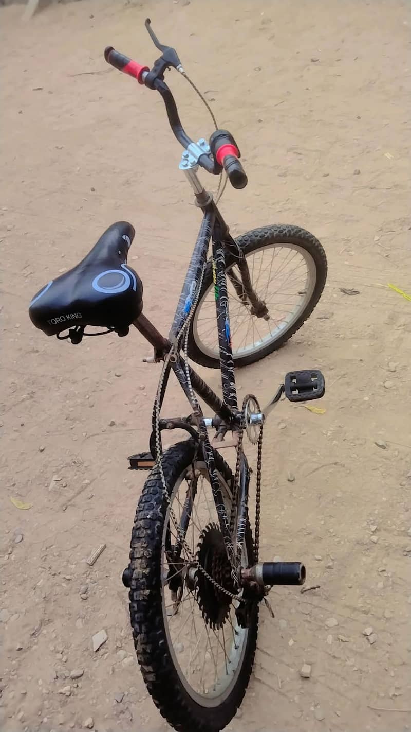 stunt cycle 2