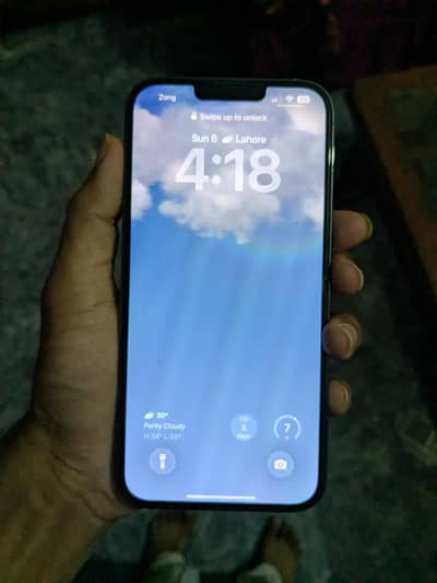 Apple iPhone 13 Pro Max