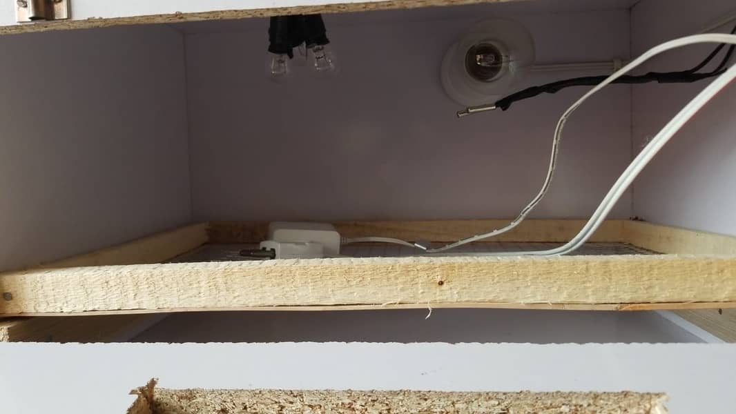 Incubater 2