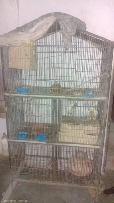 2 cage