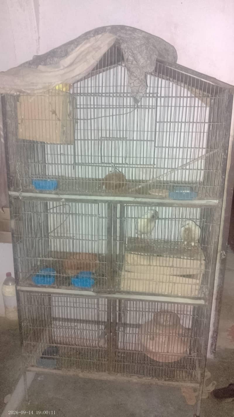 2 cage 0