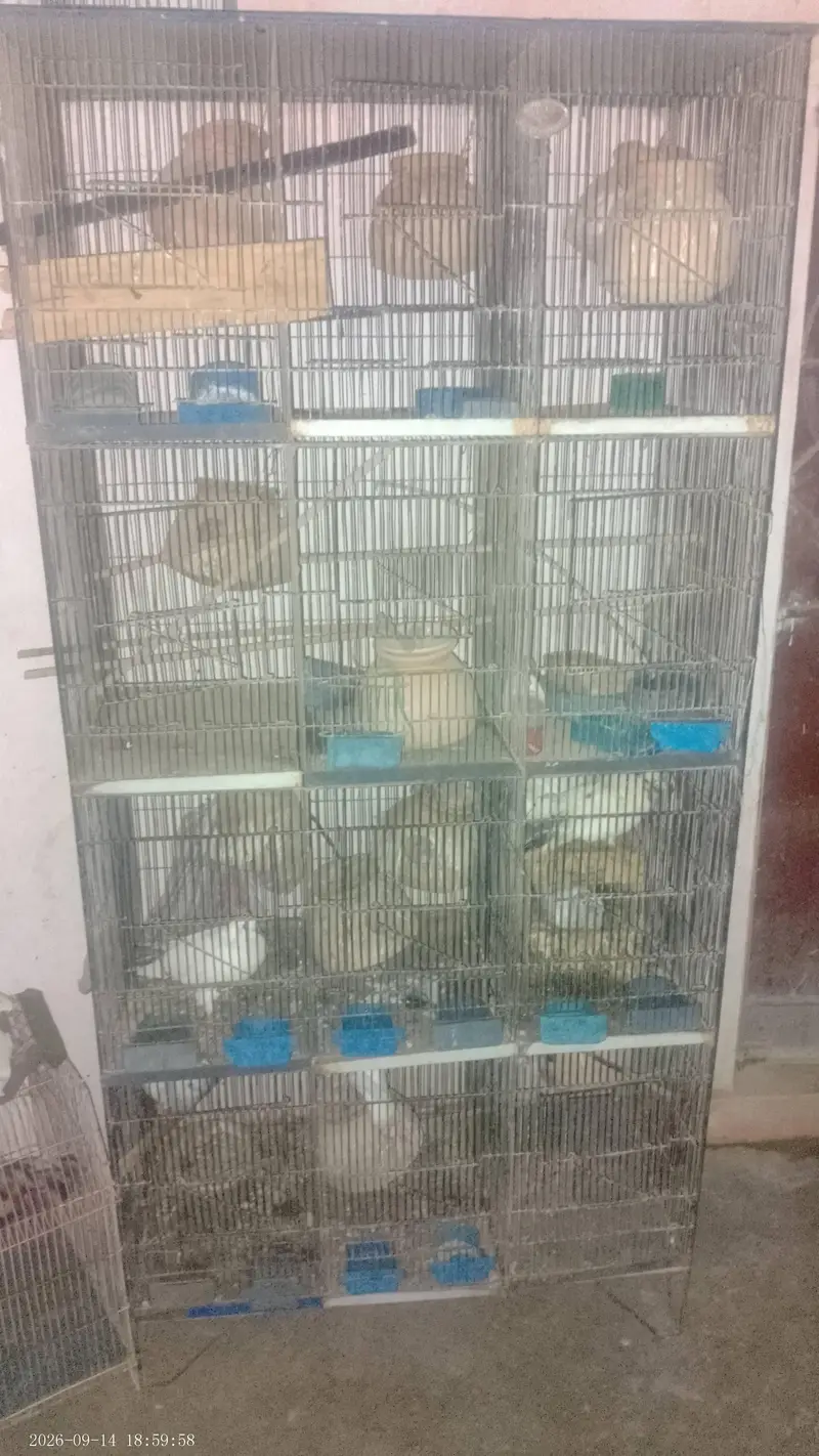 2 cage — photo 2