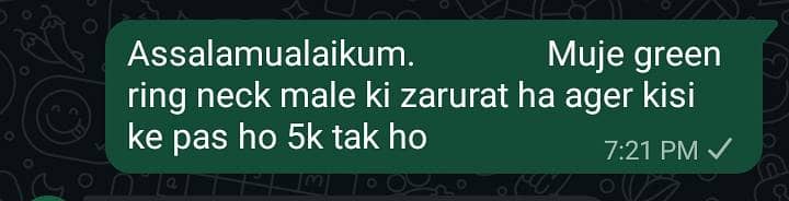 Muje green ring neck male ki zarurat ha ager kisi ke pas ho 5k tak ho