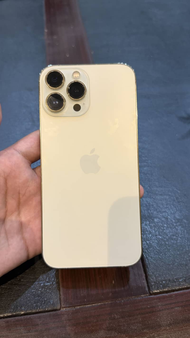 Apple iPhone 13 Pro Max 1