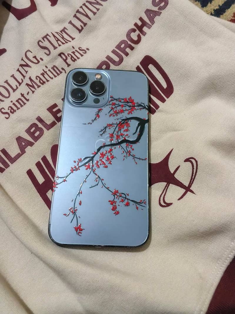 Apple iPhone 13 Pro Max 0