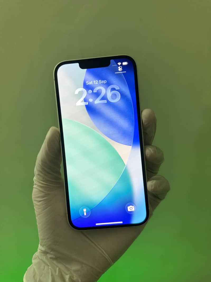 Apple iPhone 13 0