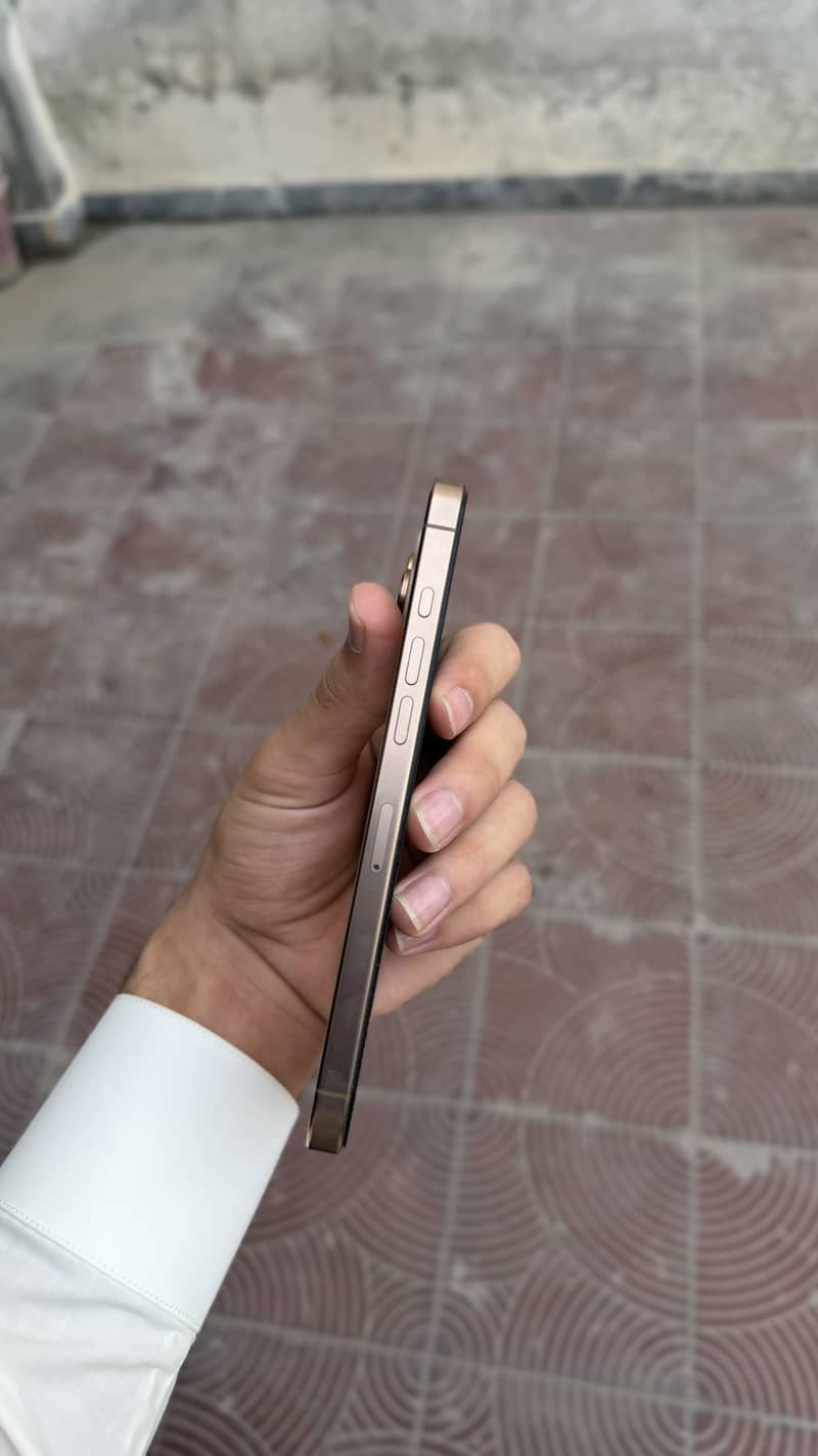 Apple iPhone 16 Pro Max 6