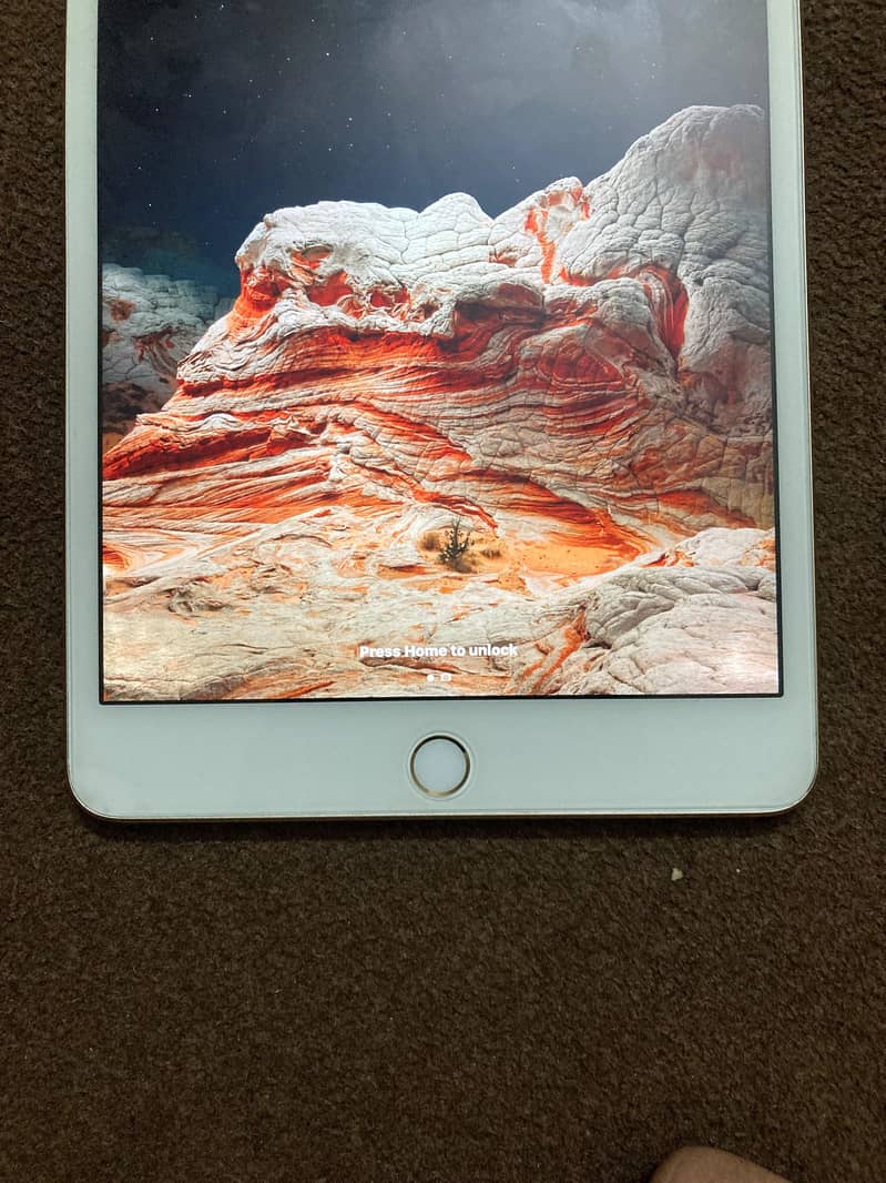 ipad mini 4 32 gb 2