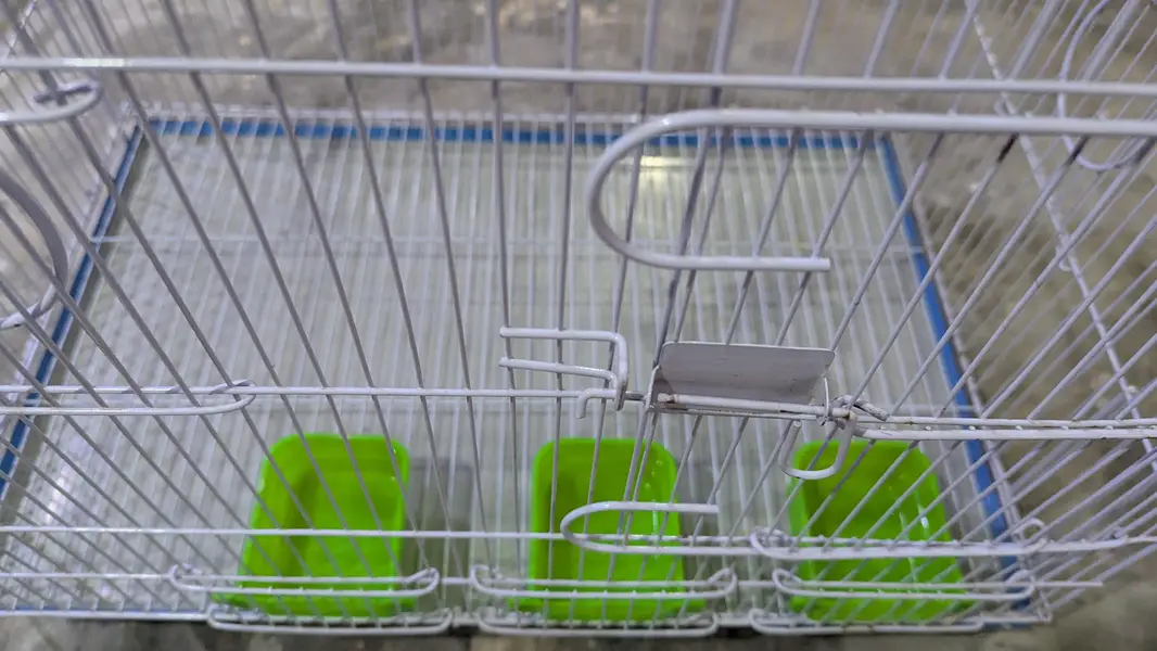 Bird Cage for Sale folding Cage  Folding Cage — photo 3