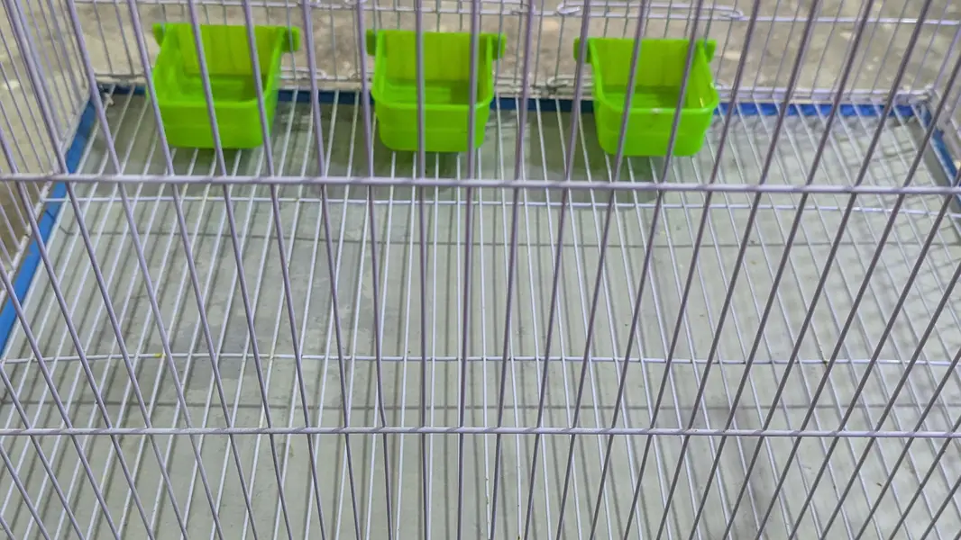 Bird Cage for Sale folding Cage  Folding Cage — photo 5
