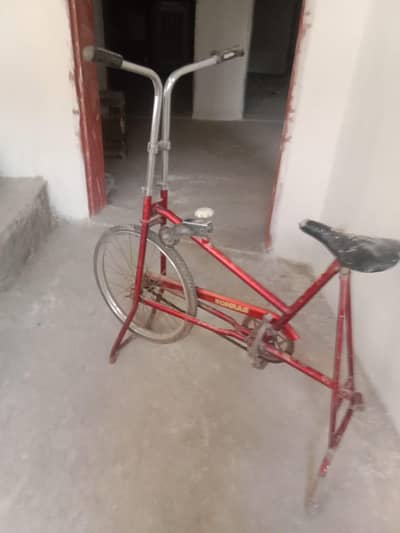 Exercise cycle