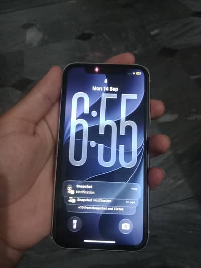 Apple iPhone 11
