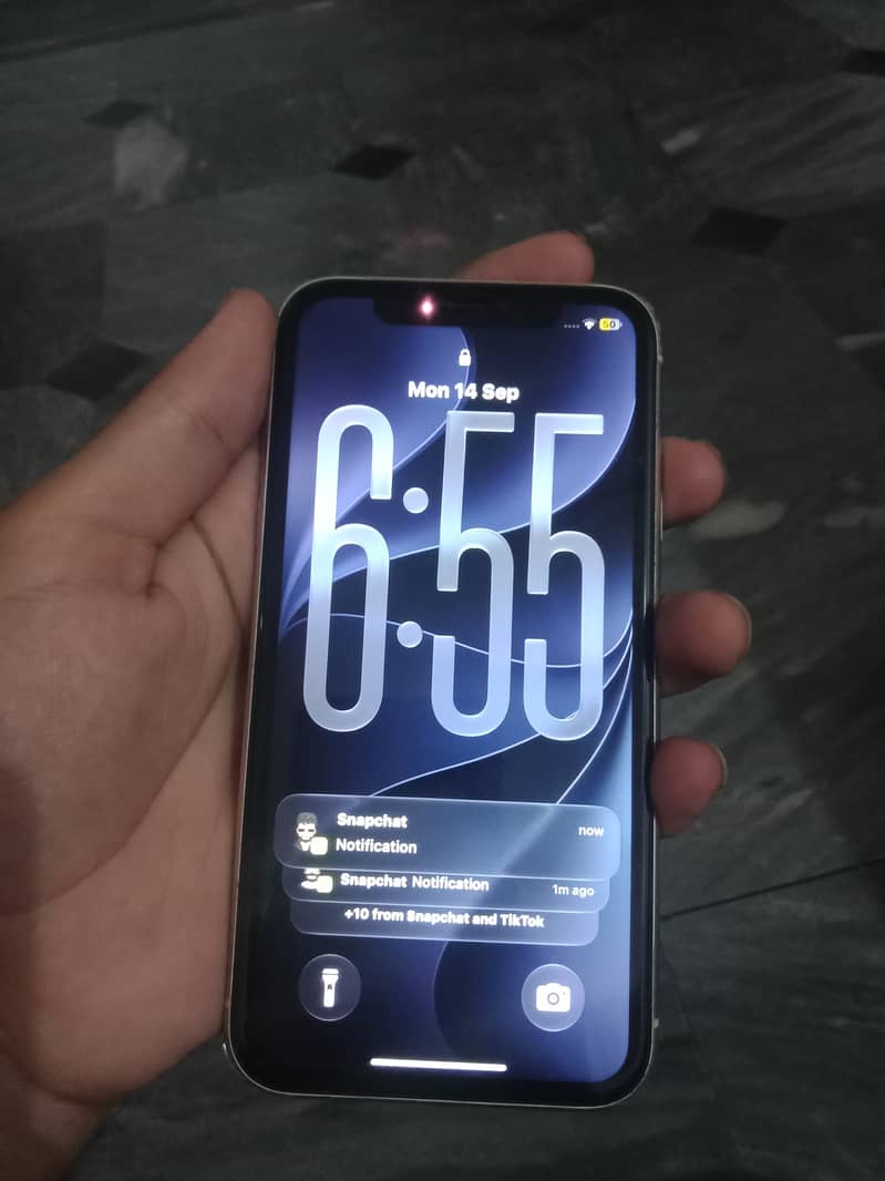 Apple iPhone 11 0