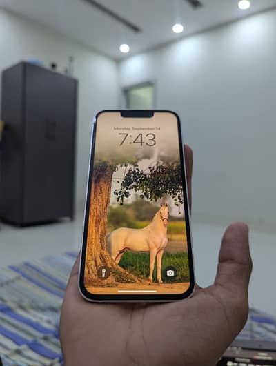 Apple iPhone 13 Exchange Possible