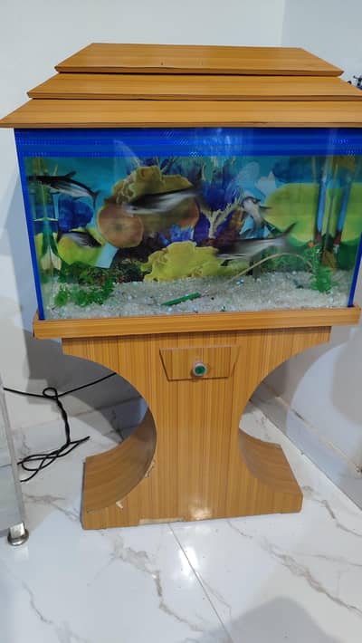 Fish Aquarium